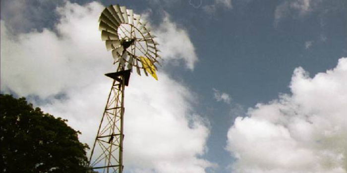 Yellowtail Wind Pump